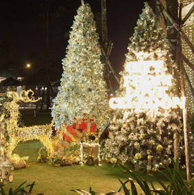 Visit the city of light Celadon City, Get the shimmering Christmas presents