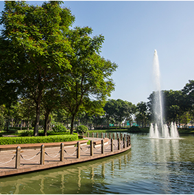 Small green city between Saigon