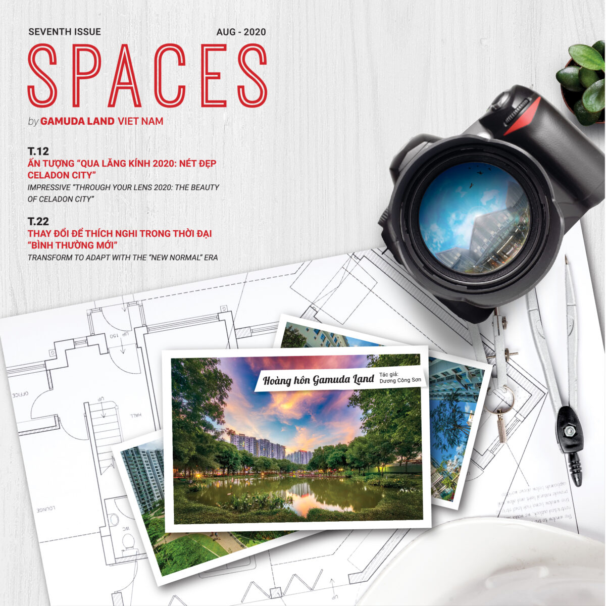 THE BEAUTY OF CELADON CITY